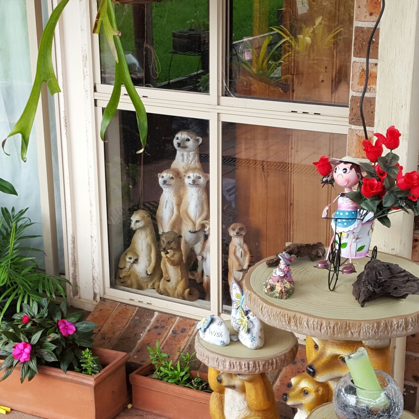 Karen's garden
