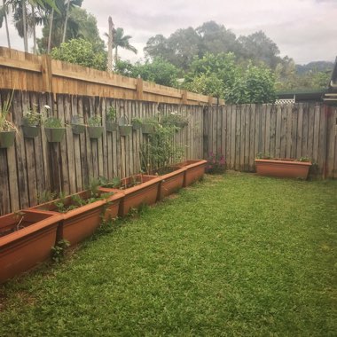 Karen's garden