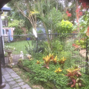 Karen's garden
