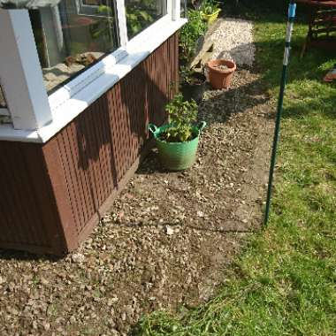 Karen's garden