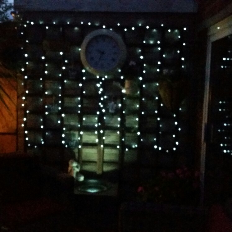 Kat's garden