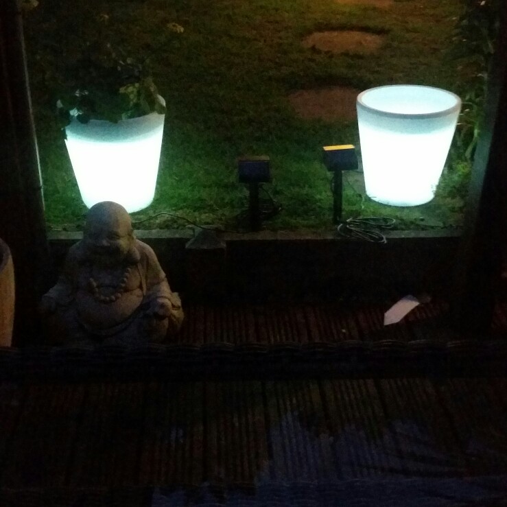 Kat's garden