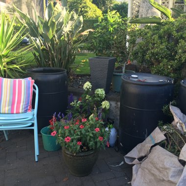 Katie's garden