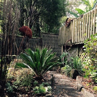 Katie's garden