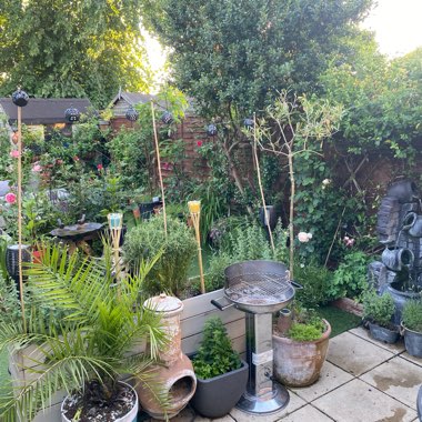 Kathleen's garden