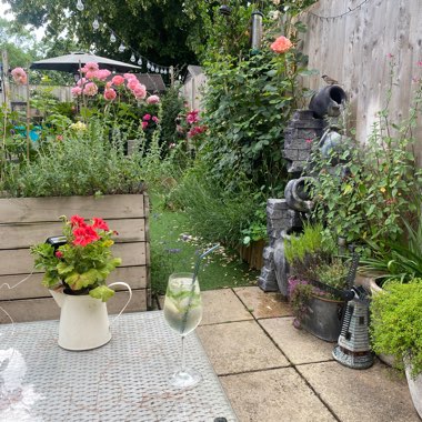 Kathleen's garden