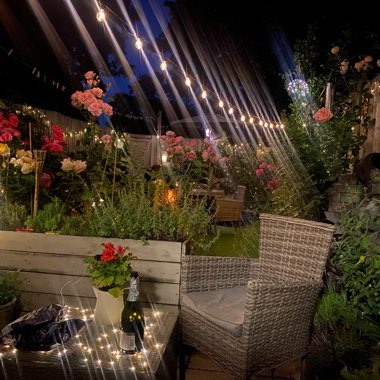Kathleen's garden