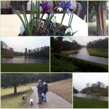Kathryn's garden