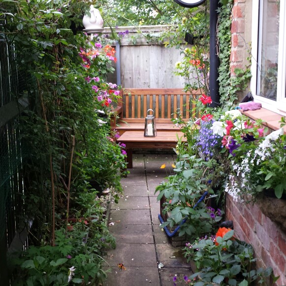 Kath's garden