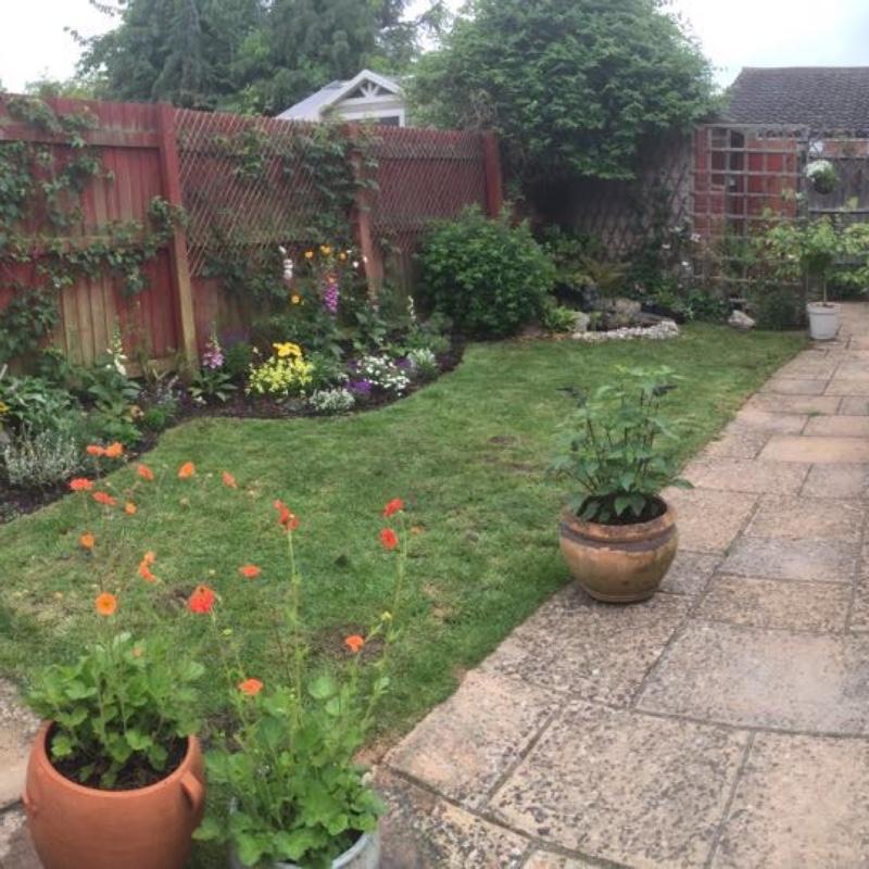 Kath's garden