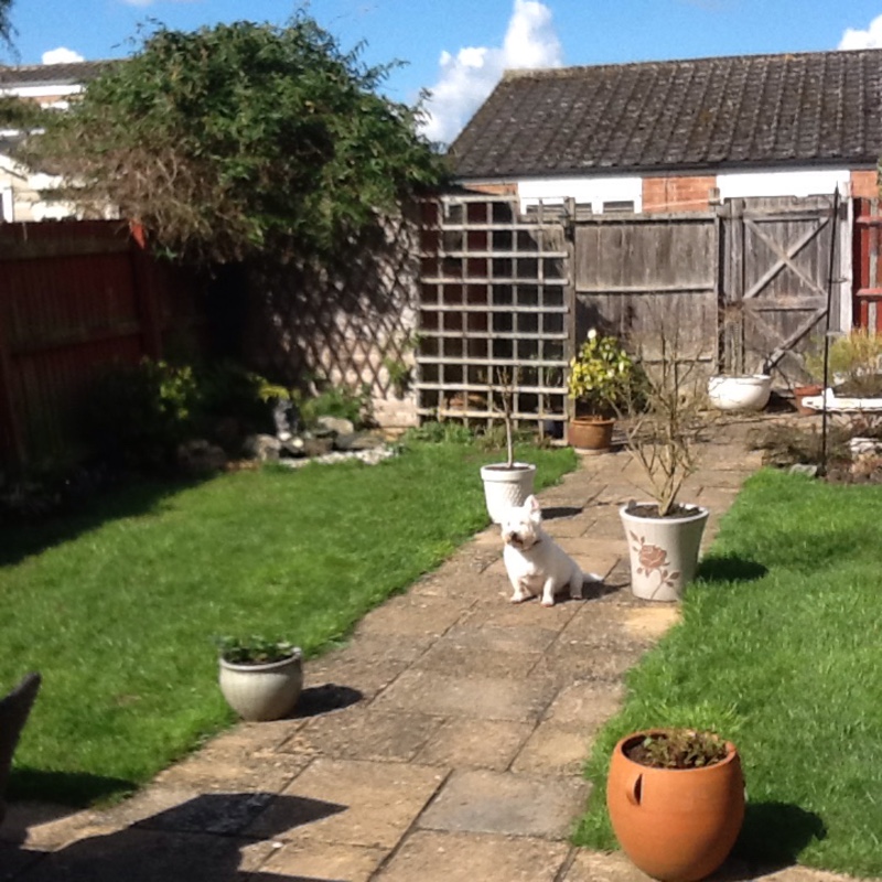 Kath's garden