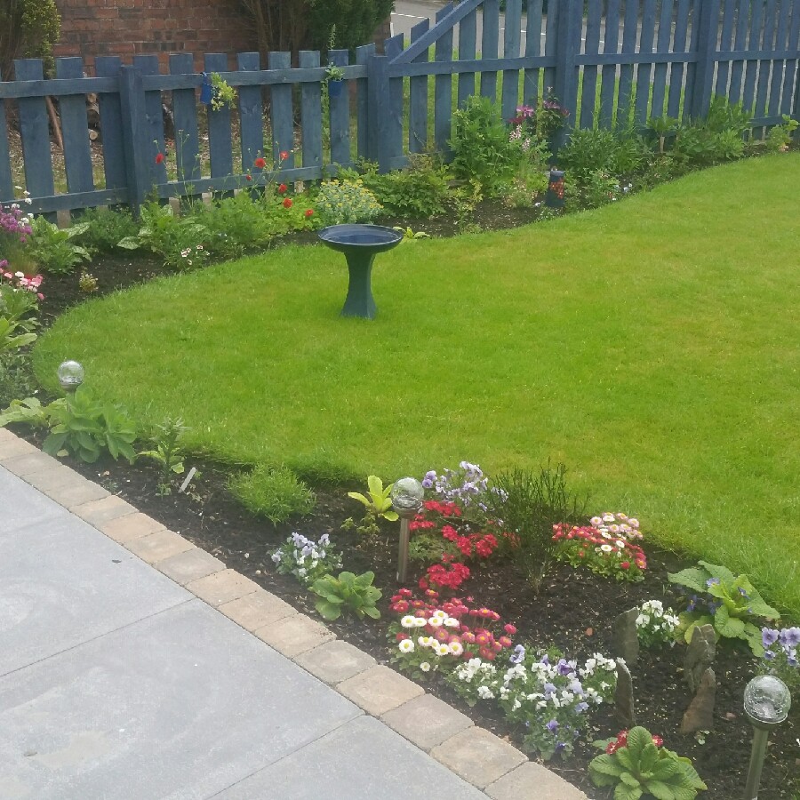 Kathleen's garden