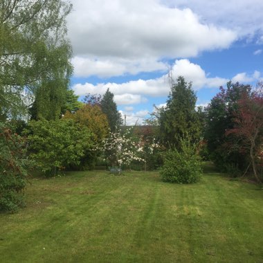 Katy's garden