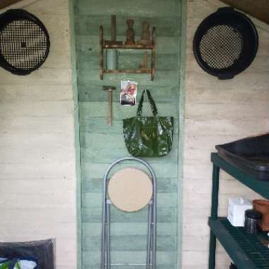 Kay's garden
