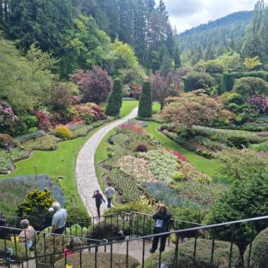 Kay's garden