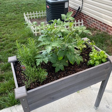 Kaycee's garden