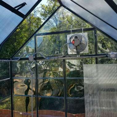 Cody's garden