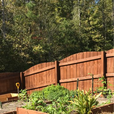 Cody's garden