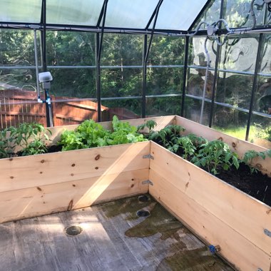 Cody's garden