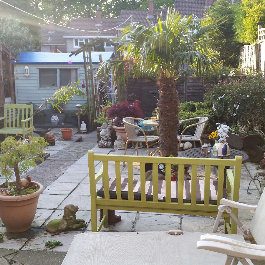 Karen's garden