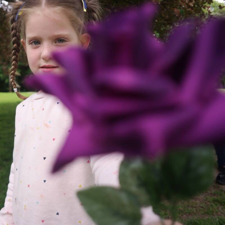 plant image 432967