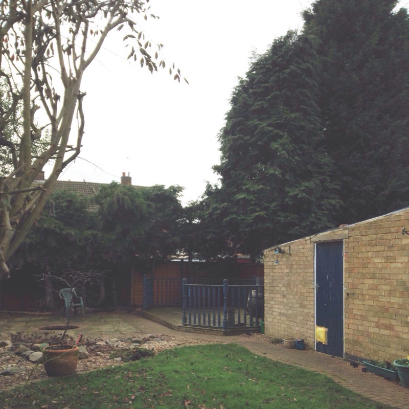 Kerry's garden