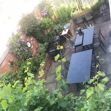Kerry's garden