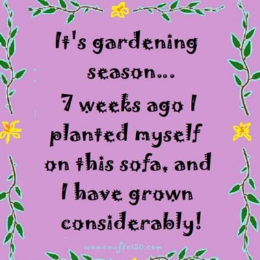 Kerry's garden