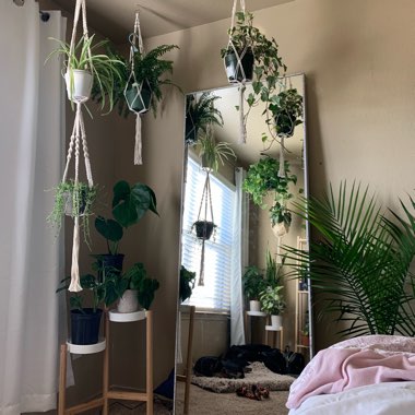 Keziah's garden