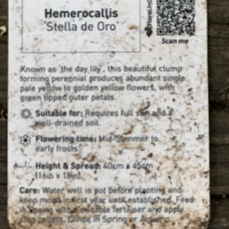 plant image 848918