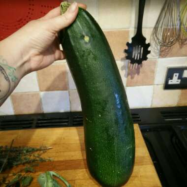 Cucurbita Pepo var. Cylindrica