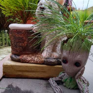Glenn's garden