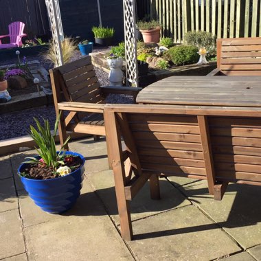 Kirstie's garden