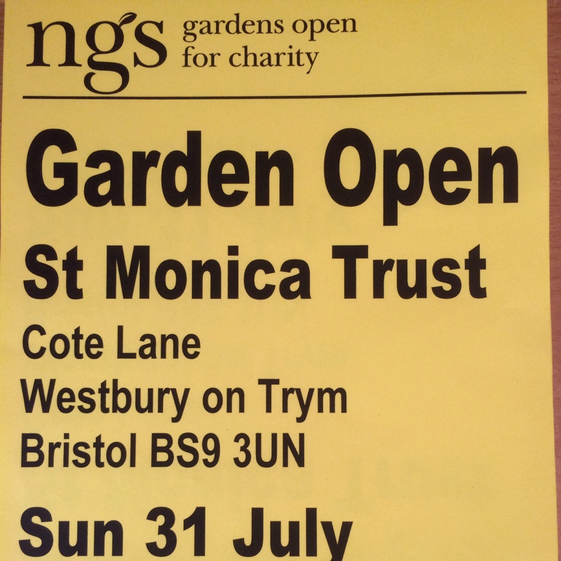 Kirsty's garden