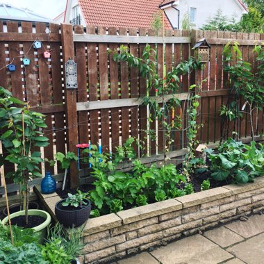 Tara's garden