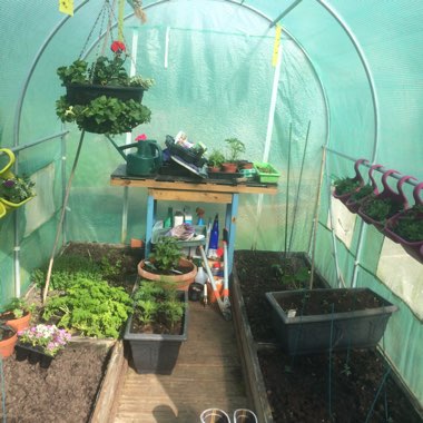 Maggie's garden