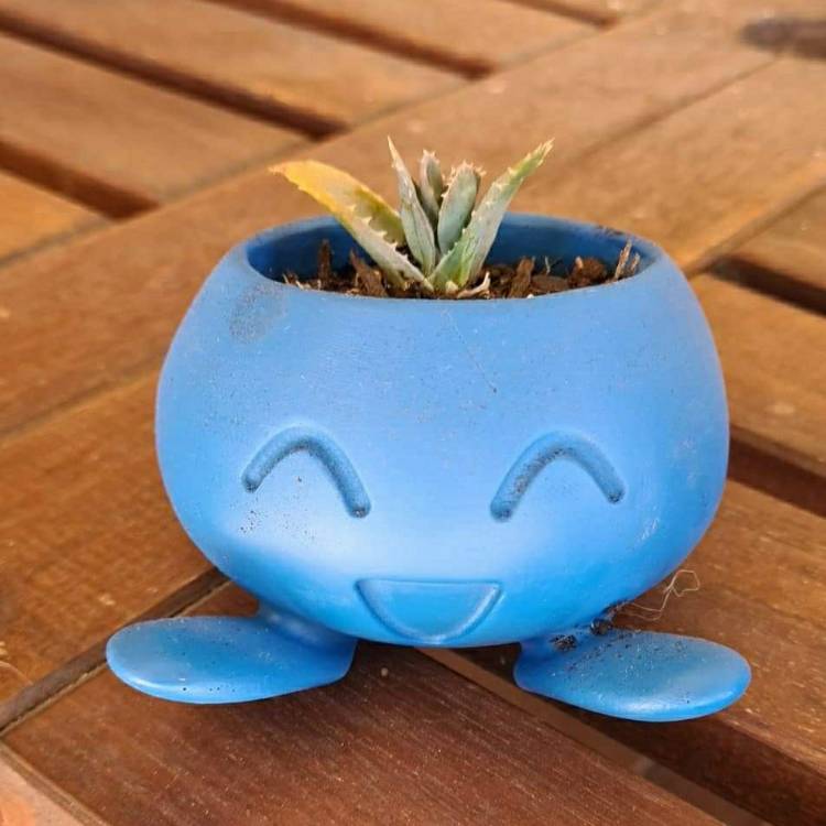 Plant image Aloe 'Blue Elf'