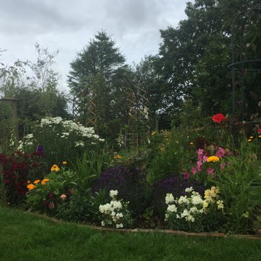 Krish's garden