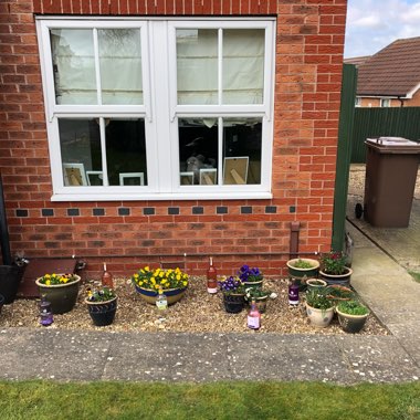 Kyla's garden