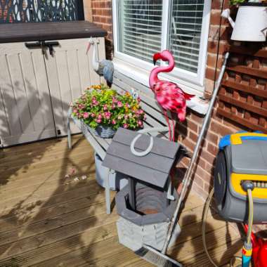 Kym's garden