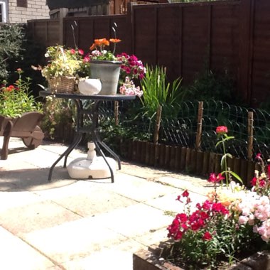 Mavis's garden