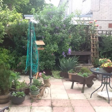 Mavis's garden