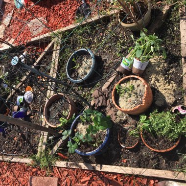 Lynda's garden