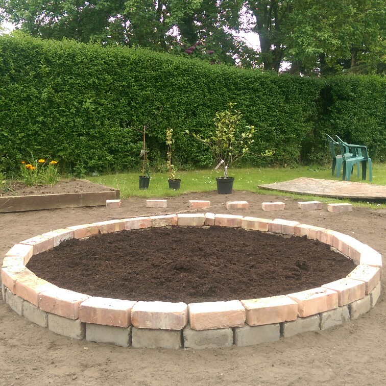 N's garden