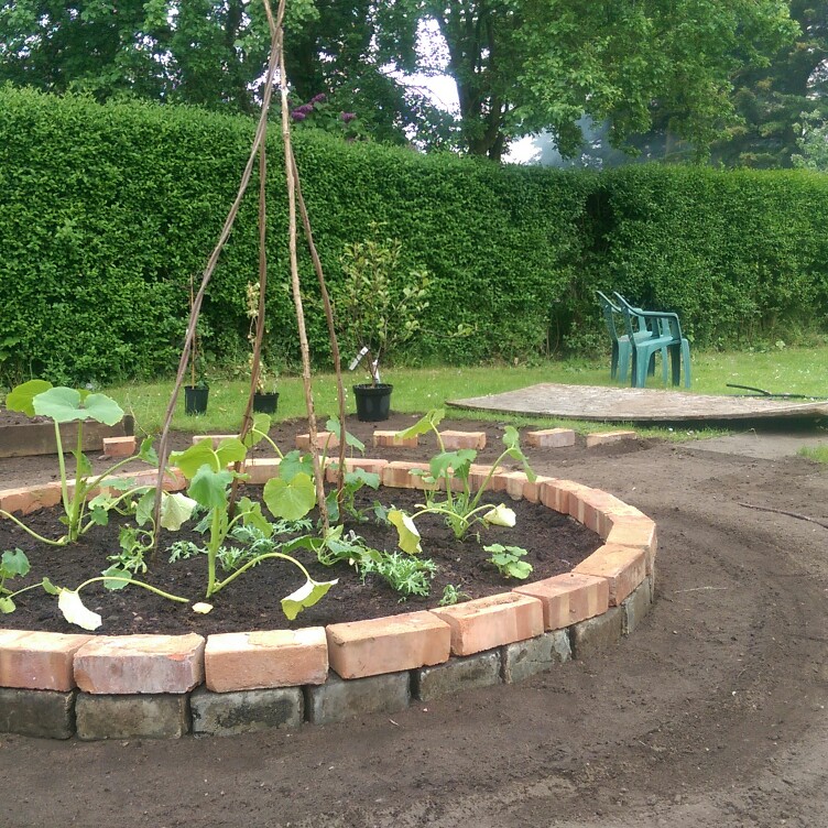 N's garden