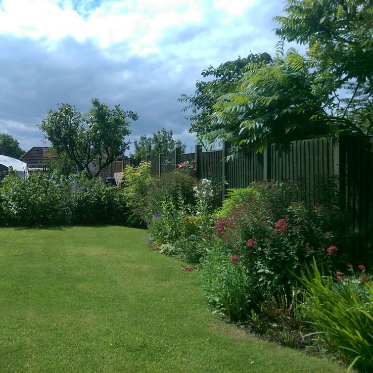 N's garden