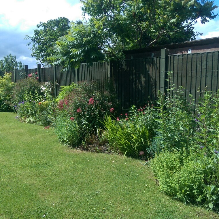 N's garden