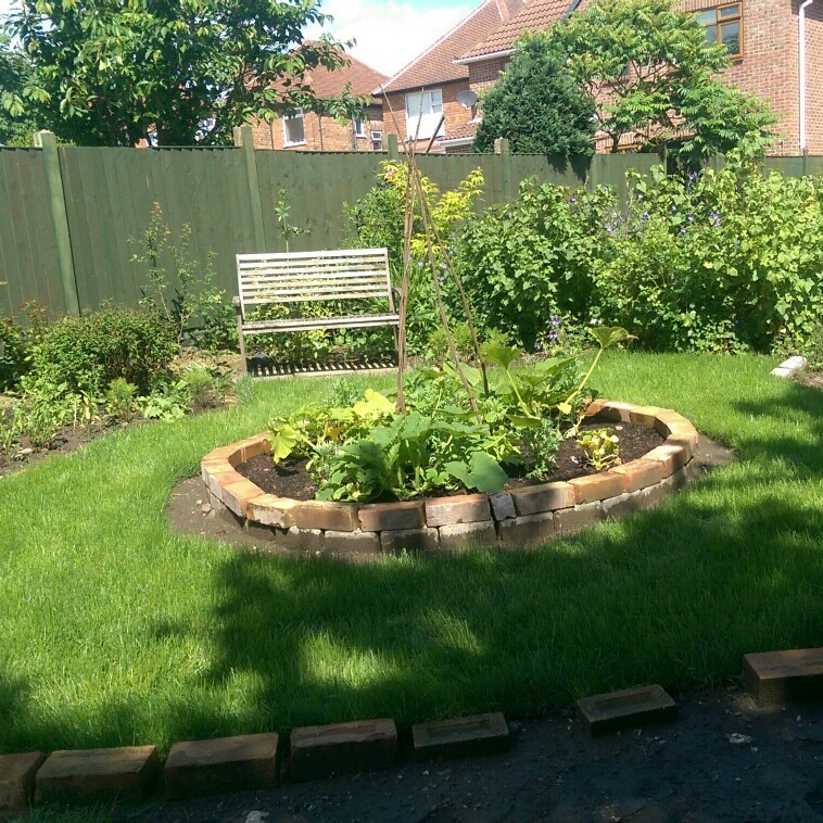 N's garden