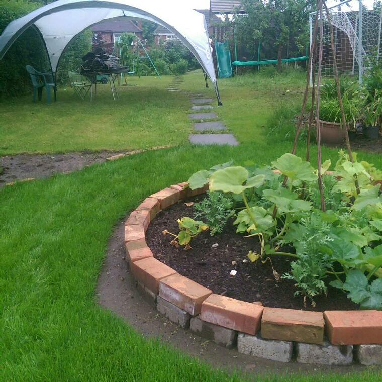 N's garden