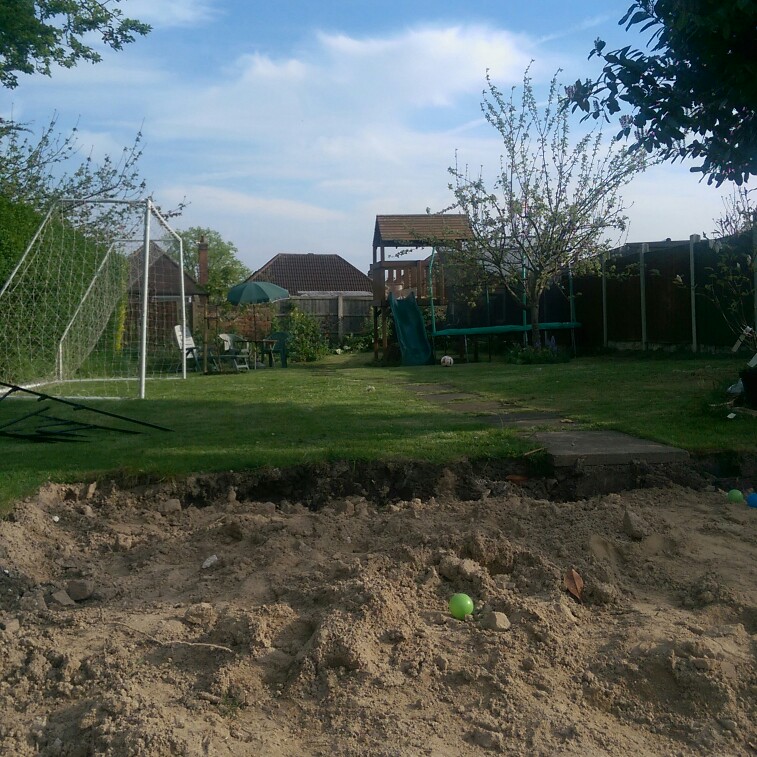 N's garden